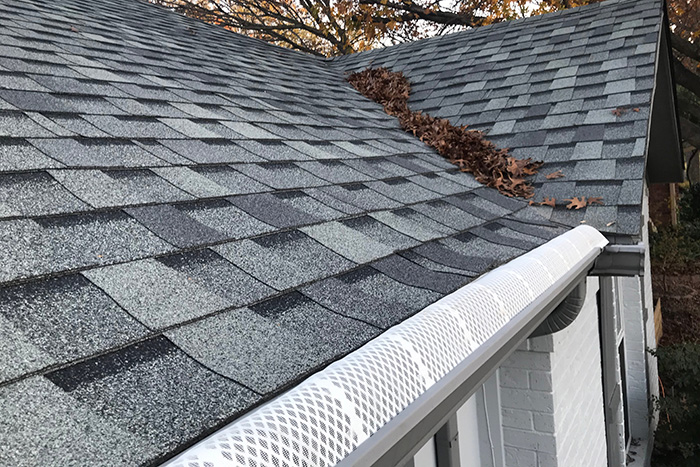 Leaf Guard Installation